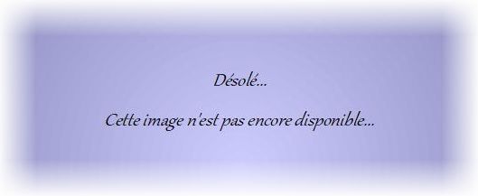 ../../../../Pas_image.jpg